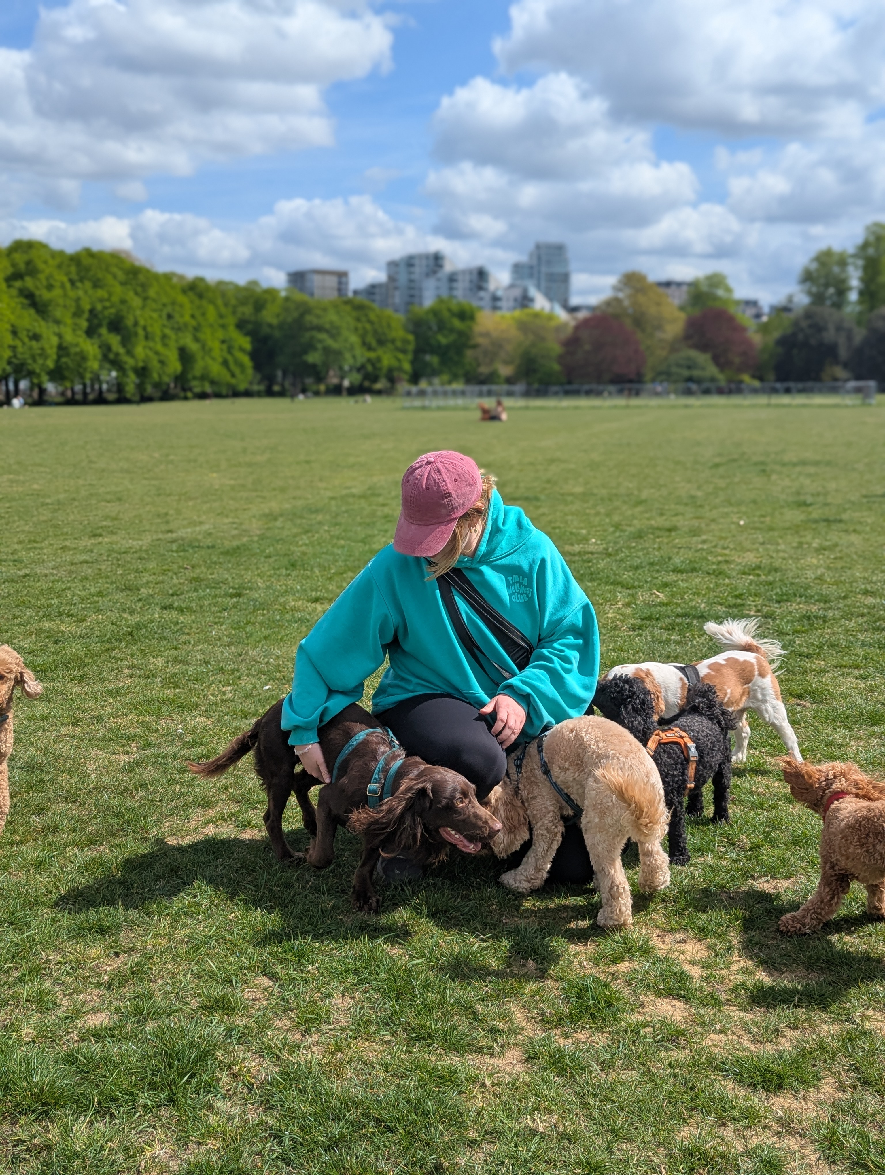 Dog walking in Battersea Park, London, with the city skyline behind