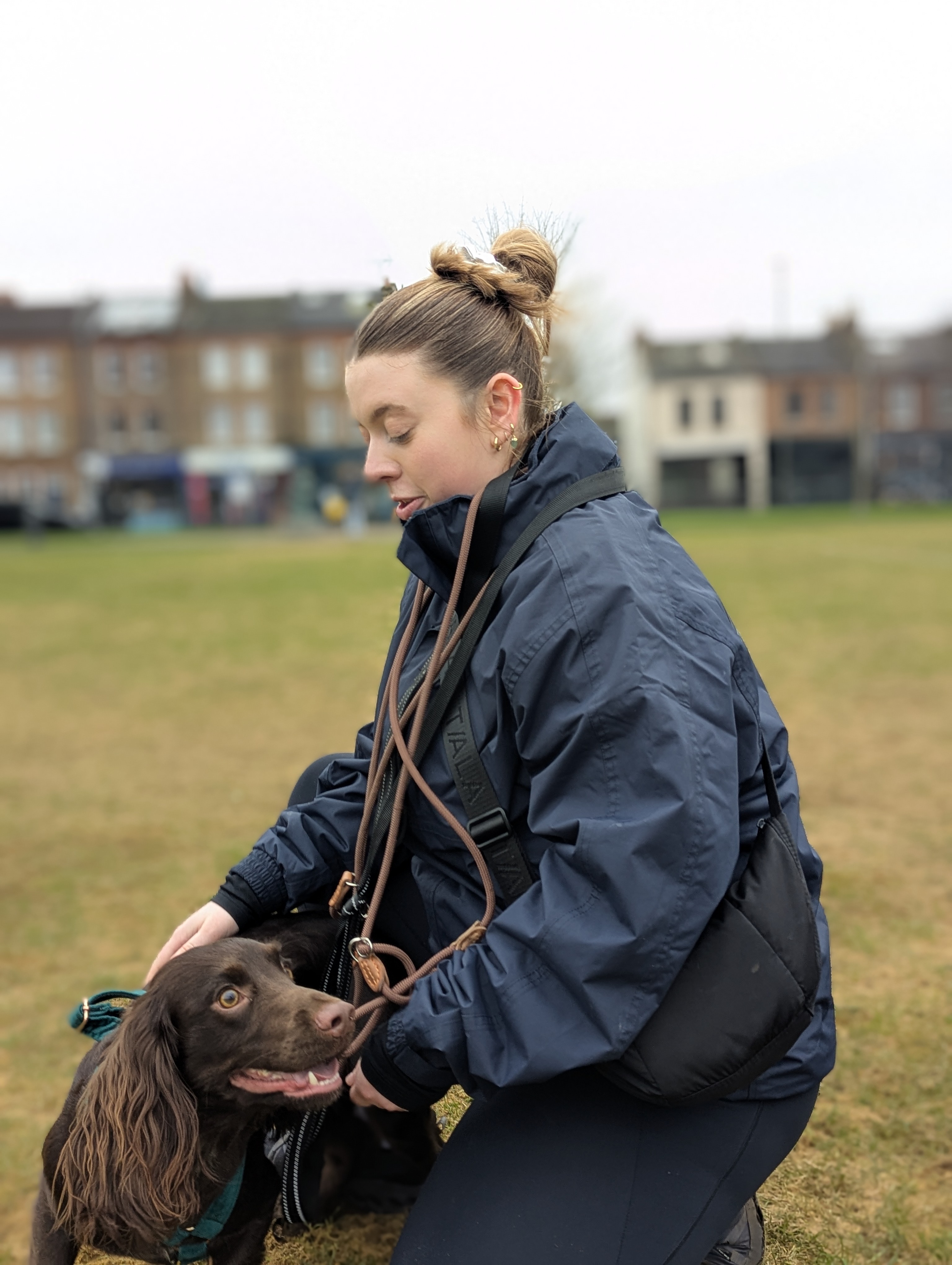 A Woof Pack walker crouching to greet a chocolate cocker spaniel on a dog walk in Chelsea