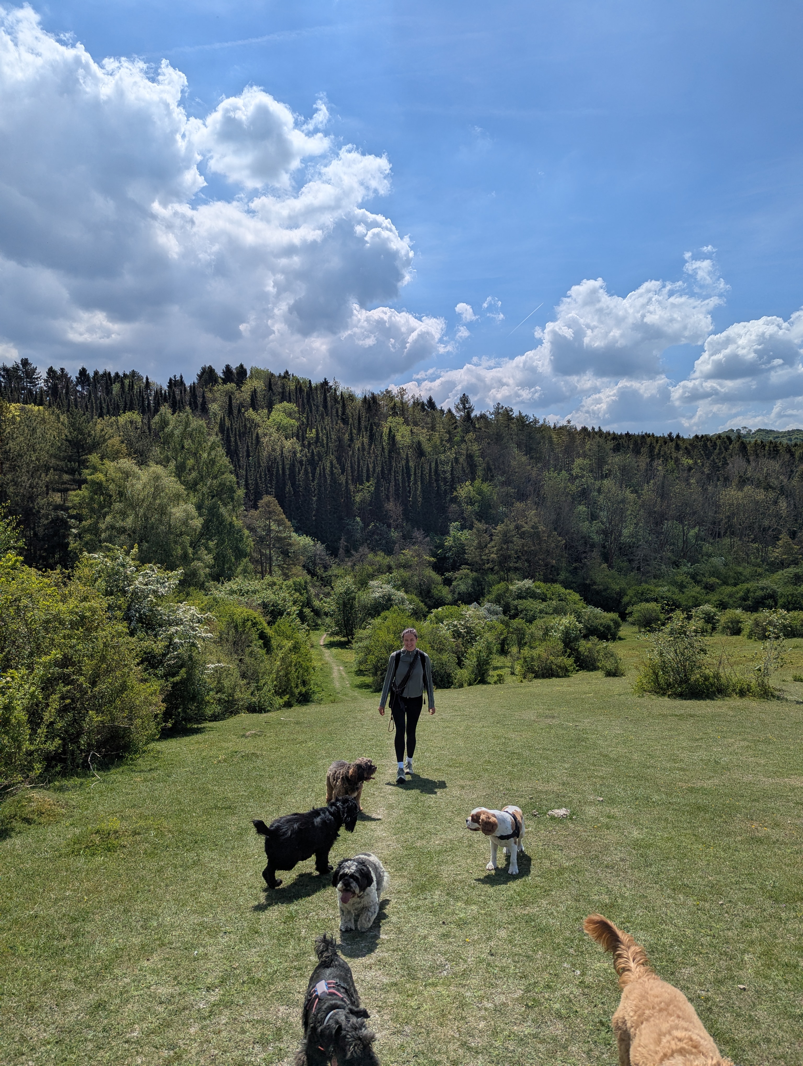 A dog walker’s adventure day pack crossing a valley meadow outside London